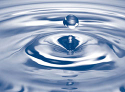 Earth First Construction