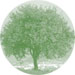 tree icon